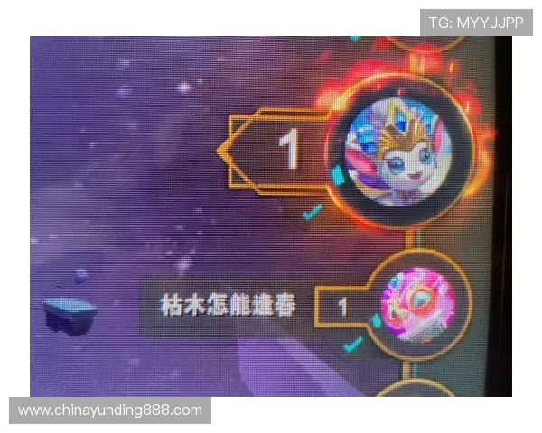 云顶yd官网2021年度活动详细介绍与参与指南