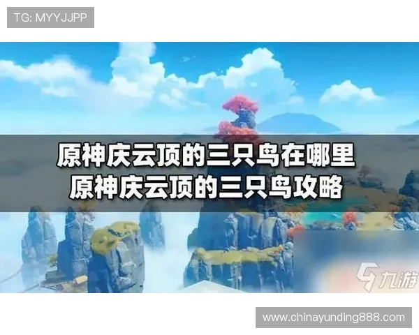 云顶在线平台官网下载最新版软件安装步骤与使用技巧全攻略