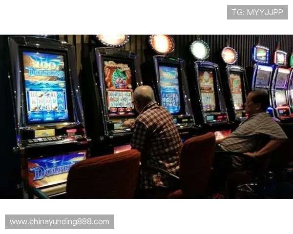 云顶官网赌场注册流程详解,新手快速上手的完整操作指南 云顶官网赌场注册流程详解,新手快速上手的完整操作指南