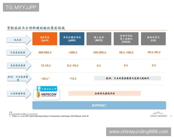 云顶新耀官网游戏社交互动功能介绍，增强玩家之间的交流合作体验丰富游戏乐趣