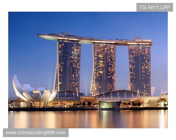 云顶国际官网登录入口网址官方入口地址详细介绍与访问技巧