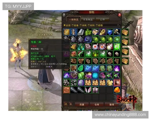 全面解析4008云顶游戏的玩法技巧与最新更新内容