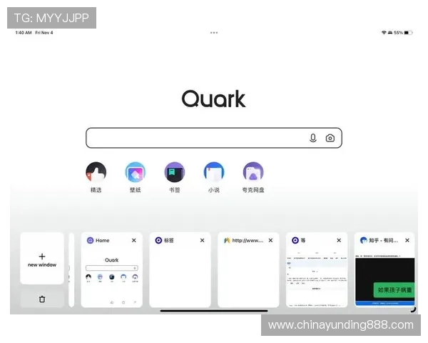 如何下载和安装4008云顶浏览器确保安全稳定的浏览体验 如何下载和安装4008云顶浏览器确保安全稳定的浏览体验