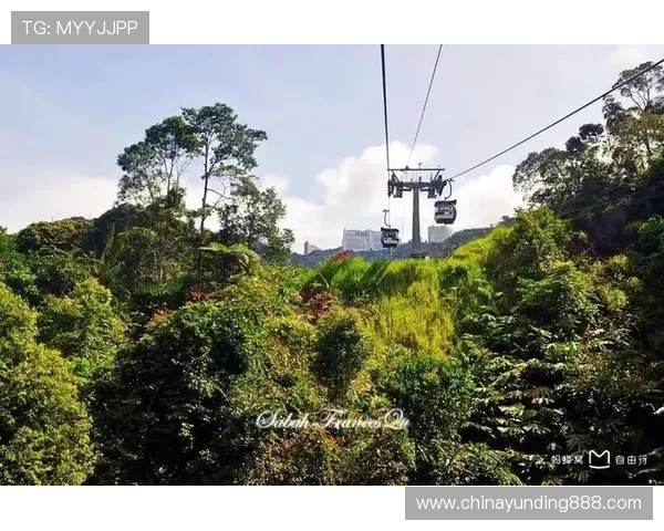 马来西亚云顶近期经营状况与游客流量变化趋势研究