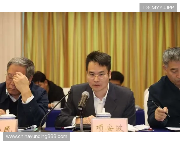 4008云顶集团简介全面解析其发展历程与核心业务发展战略
